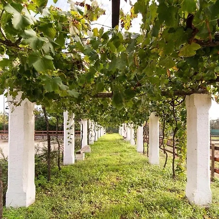 Вилла Tenuta Aphrodite *